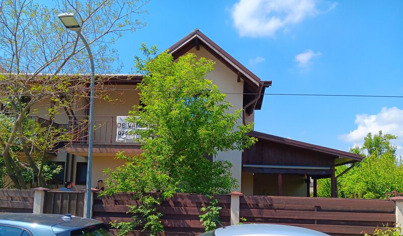 Domnesti, Irish Villa,