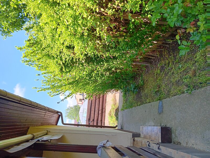 Domnesti, Irish Villa,