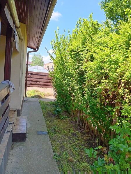 Domnesti, Irish Villa,